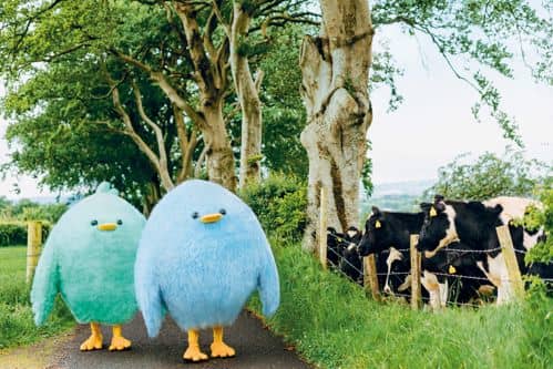 Powering Northern Ireland's agricultural future with Share Energy