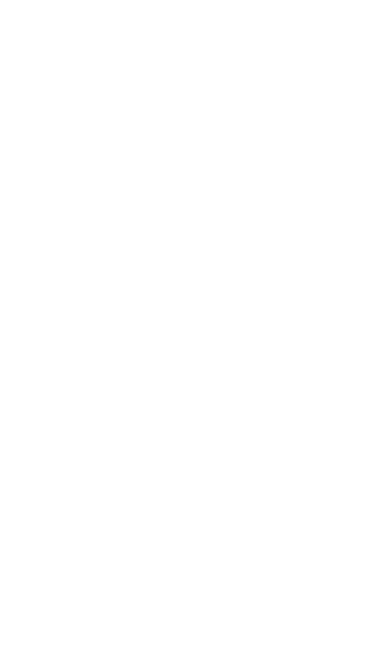 vector-object